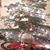 Amber M Sellnow Frere's profile image