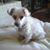 Trudy Hewitt's profile image