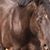 Sheri Walker's profile image