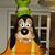 Foufou Dingo's profile image