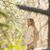 Anastasia Bourdon's profile image