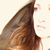 Elyse Marie Curatolo's profile image
