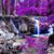 Susan Coatney Banks's profile image