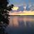 Roxanne Wark's profile image