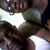Darrell Talbert's profile image