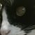 Danny Doiron's profile image