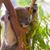 Paul Brown's profile image