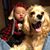 Becky Peirson's profile image