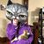 Candice Miller's profile image