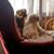Denise Huber Green's profile image