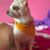 Alma Dela Garza's profile image