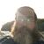 Tim Whitford's profile image