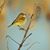 Deborah Emery-Kenney's profile image