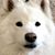 Hal Taylor's profile image