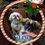 Rhona Carr's profile image