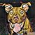 Matt Ackley's profile image