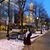 Kimberly Tagliarino's profile image