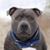 Neil Colquitt's profile image