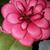 Kathy Lalumondier's profile image