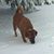 Steven H Lockman's profile image
