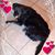 Cherry Blackmer's profile image