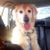 Marlene Reilly Wallace's profile image