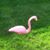 Barbara Eckstein's profile image