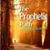 Janet McGregor-Molodecki's profile image