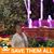Vicki Aring's profile image