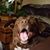 David Eddy's profile image