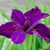 Katherine Davis's profile image