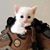 Tim Yurk's profile image