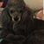 Connie Reiter's profile image