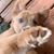 Kathy Locklear Chapman's profile image
