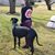Rachel Schae Mason's profile image