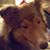 Sarah Thompson's profile image