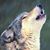 Jean Duncan's profile image