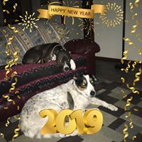 Vicki MacLeod's profile image
