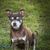 Renee Felts Garrett's profile image