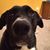 Ed Zamejtis Jr.'s profile image