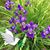 Kathy Lemon's profile image