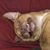 Sherri Winslow's profile image