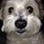 John Kociuba's profile image