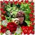 Sandra Rufe's profile image