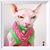 Lucille Hosmer's profile image