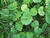Kate H.'s profile image