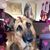 Tevis Aubrey Sauer's profile image