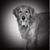 Mary Estes's profile image