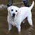 Mary Beth Elam's profile image