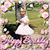 Lesa Hedlund's profile image
